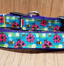 Collar/ Large/ Medium/ Lady Bugs