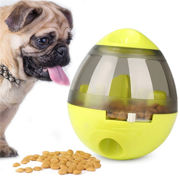 Food Dispenser for Dog & Cat