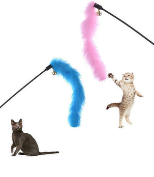 Pet Turkey Feather Teaser