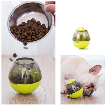 Food Dispenser for Dog & Cat