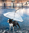 Transparent Pet Umbrella