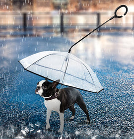 Transparent Pet Umbrella