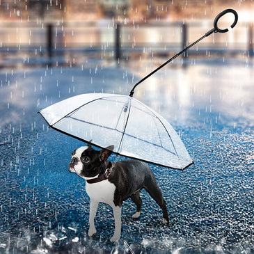 Transparent Pet Umbrella