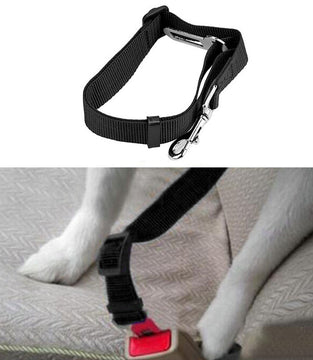 New waist pet dog leash running jogging puppy dog