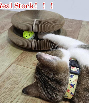 Magic Organ Cat Scratching Board