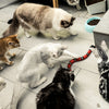 Smart Sensing Interactive Cat Toys Eletronic Snake