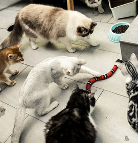 Smart Sensing Interactive Cat Toys Eletronic Snake