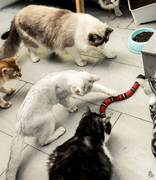 Smart Sensing Interactive Cat Toys Eletronic Snake