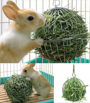 Stainless Steel Round Sphere Feed Dispense Exercise Hanging Hay Ball